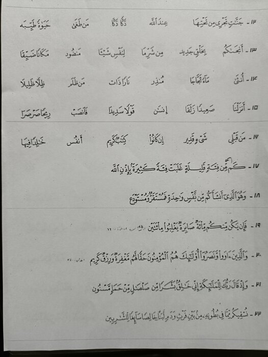 خادم برگزیده قرآنی: آموزش روخوانی قرآن یک کار اشتباه است