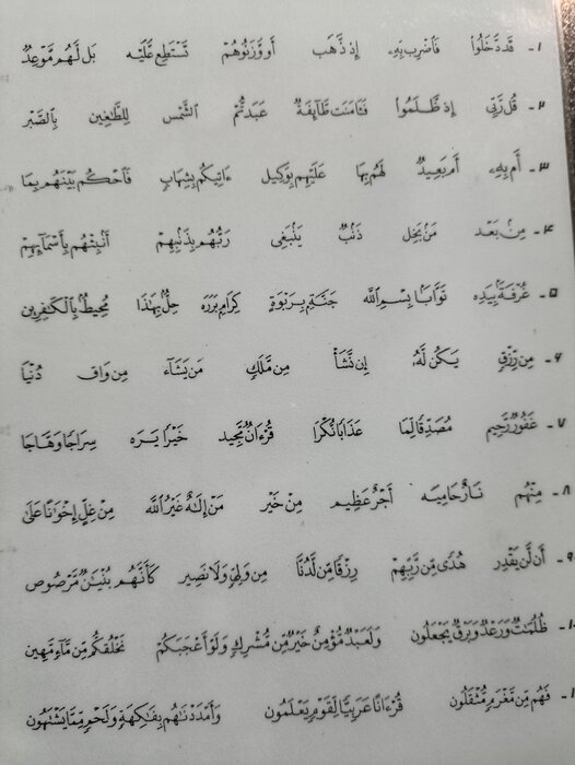 خادم برگزیده قرآنی: آموزش روخوانی قرآن یک کار اشتباه است