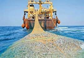 صید ترال توسط کشتی‌های خارجی در آب‌های ایران ممنوع است