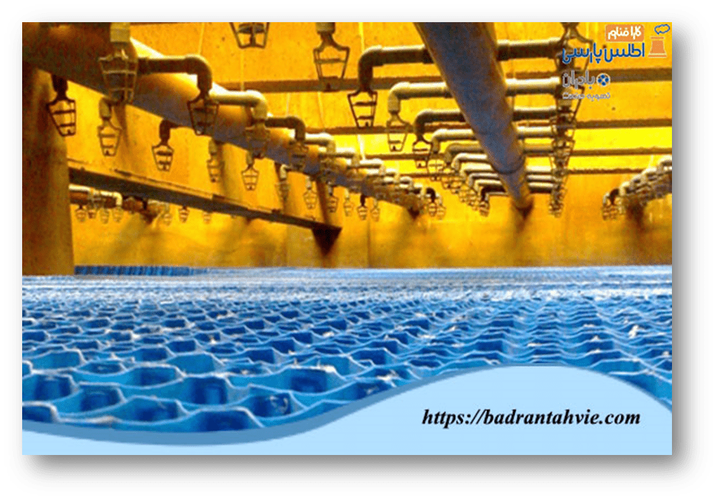 images_1688806575_64a924afdd910.png