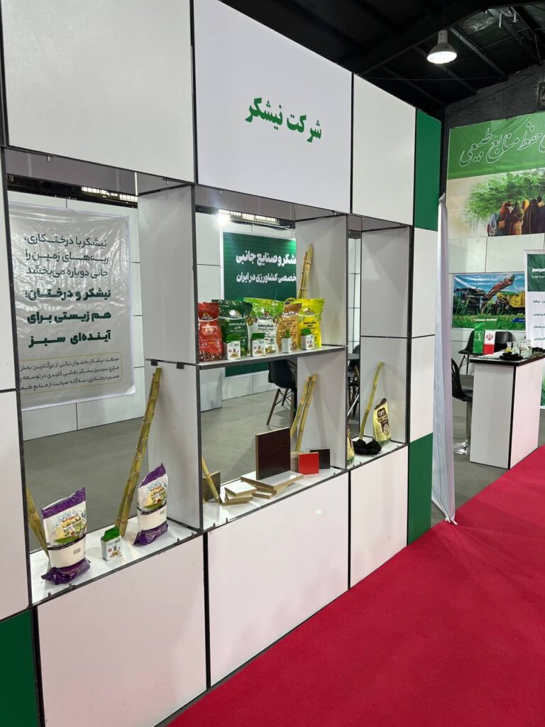یک‌چهارم پویش درختکاری خوزستان بر دوش نیشکر/ نقش محوری در حفظ منابع طبیعی
